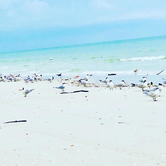 Meet your Posher, Marge!🩶 - Picture 14 of 14